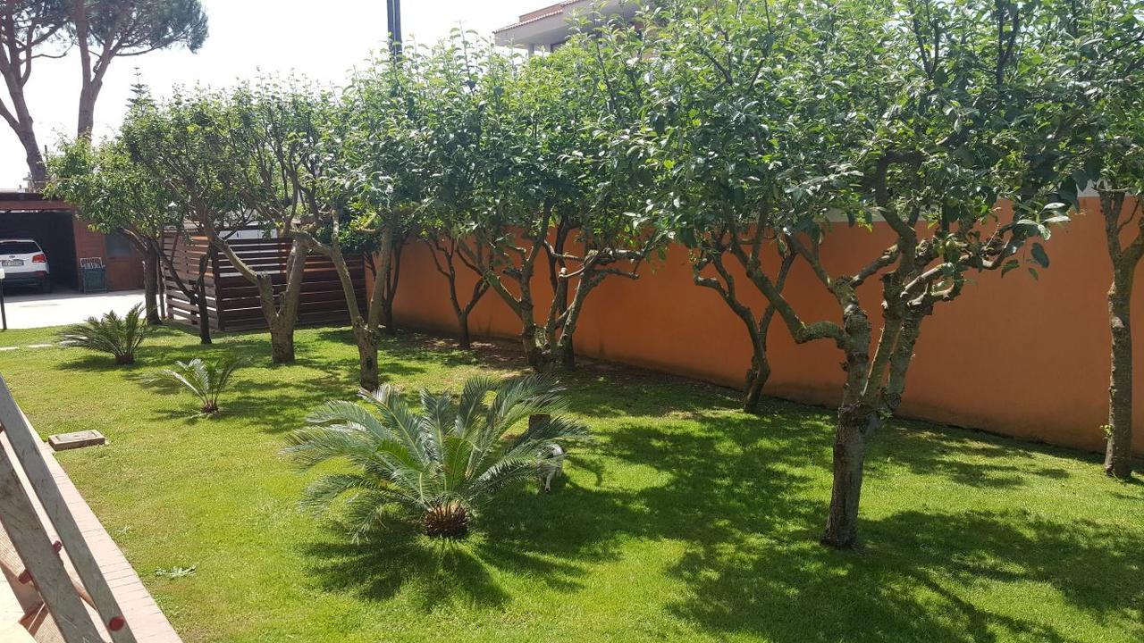 B&B Villa Elema Nettuno Esterno foto