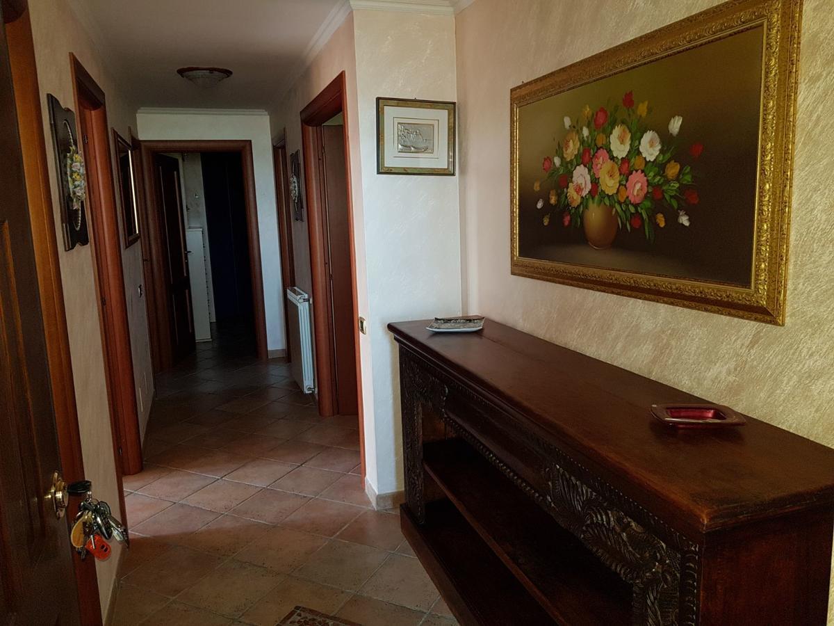 B&B Villa Elema Nettuno Esterno foto